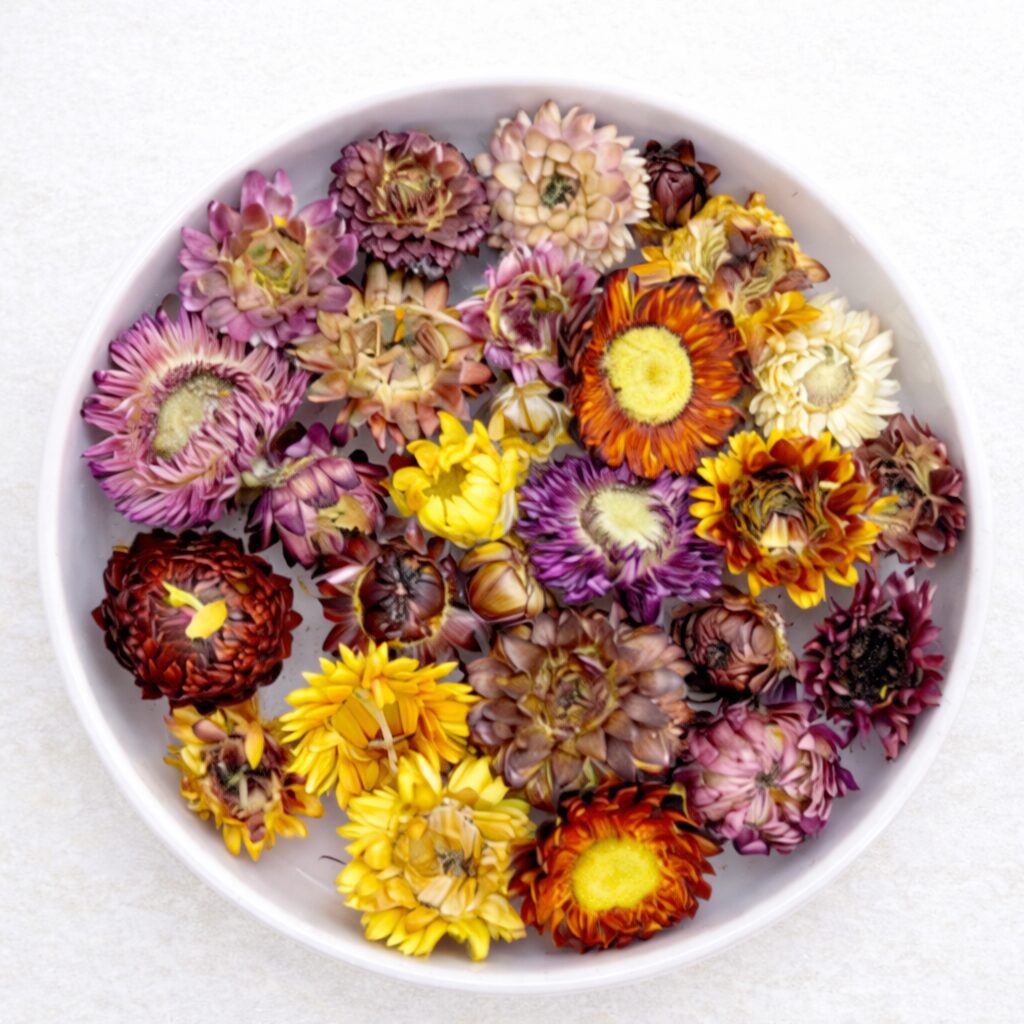 Gedroogde Helichrysum Bloemen - Afbeelding 2